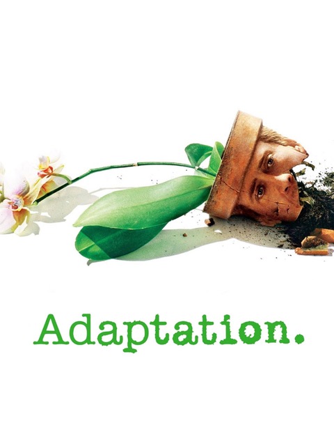 Adaptation